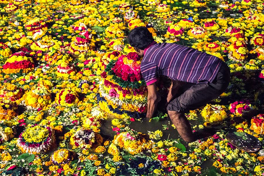 A woman places a tall, colourful flower Bathukamma on a bed of marigolds in Hyderabad